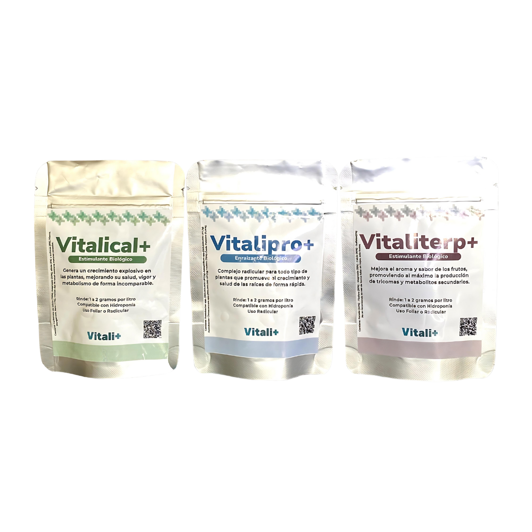 Tripack Vitali+